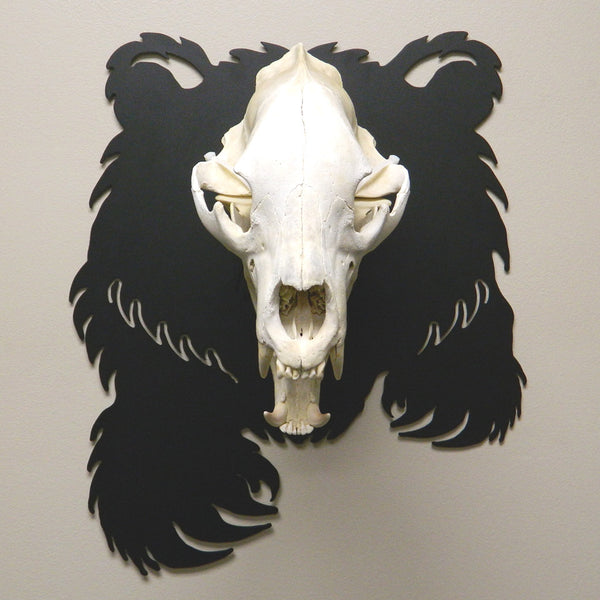 Bear Front with Skull