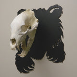 Bear Left with Skull