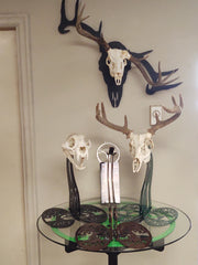 Skull Table Stand